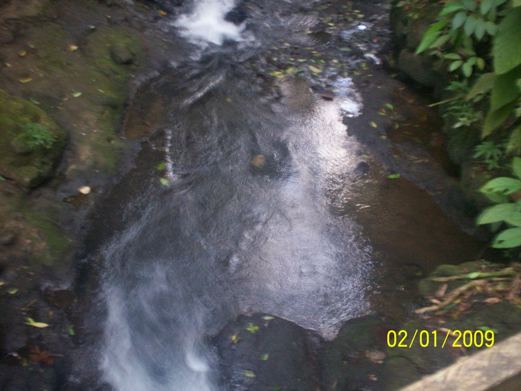 Foto: Termales Aguas Zarcas - Aguas Zarcas (Alajuela), Costa Rica