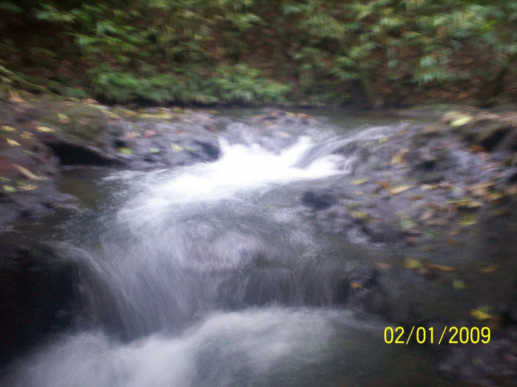 Foto: Termales Aguas Zarcas - Aguas Zarcas (Alajuela), Costa Rica