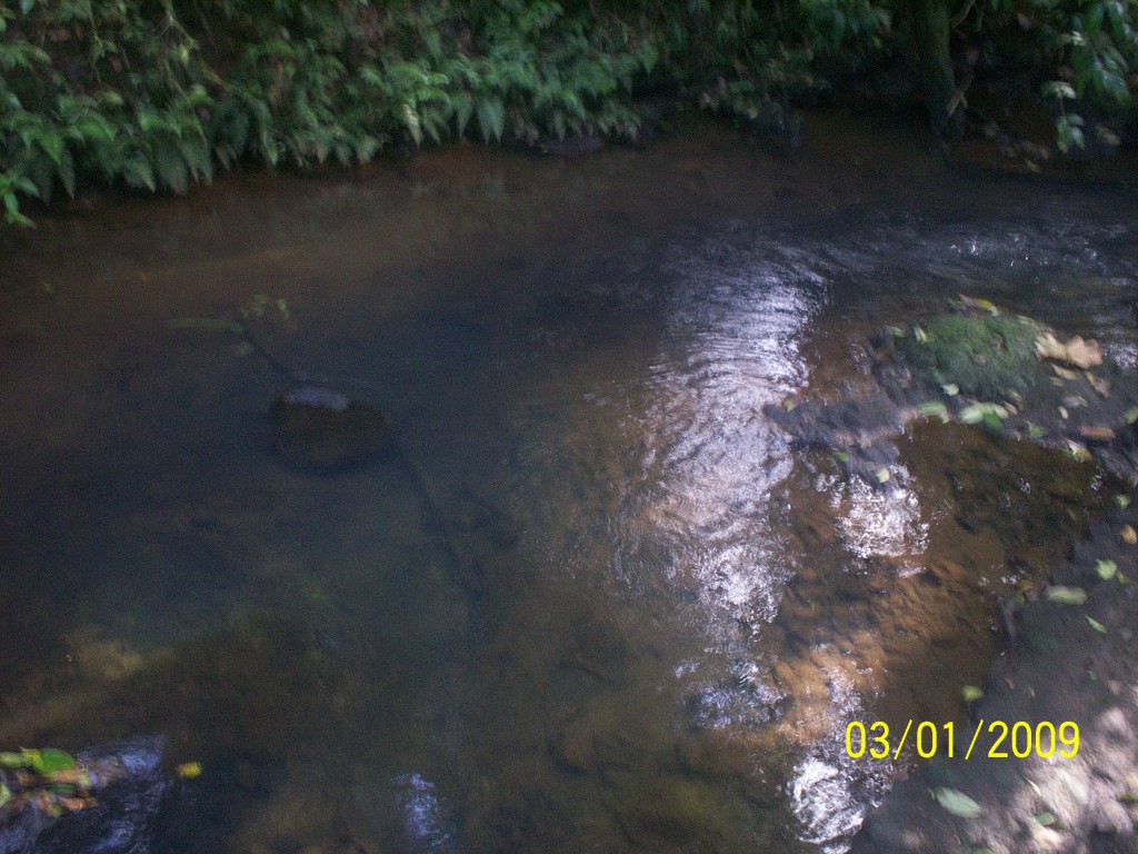 Foto: Aguas Termales, Agua Zarcas - Aguas Zarcas (Alajuela), Costa Rica