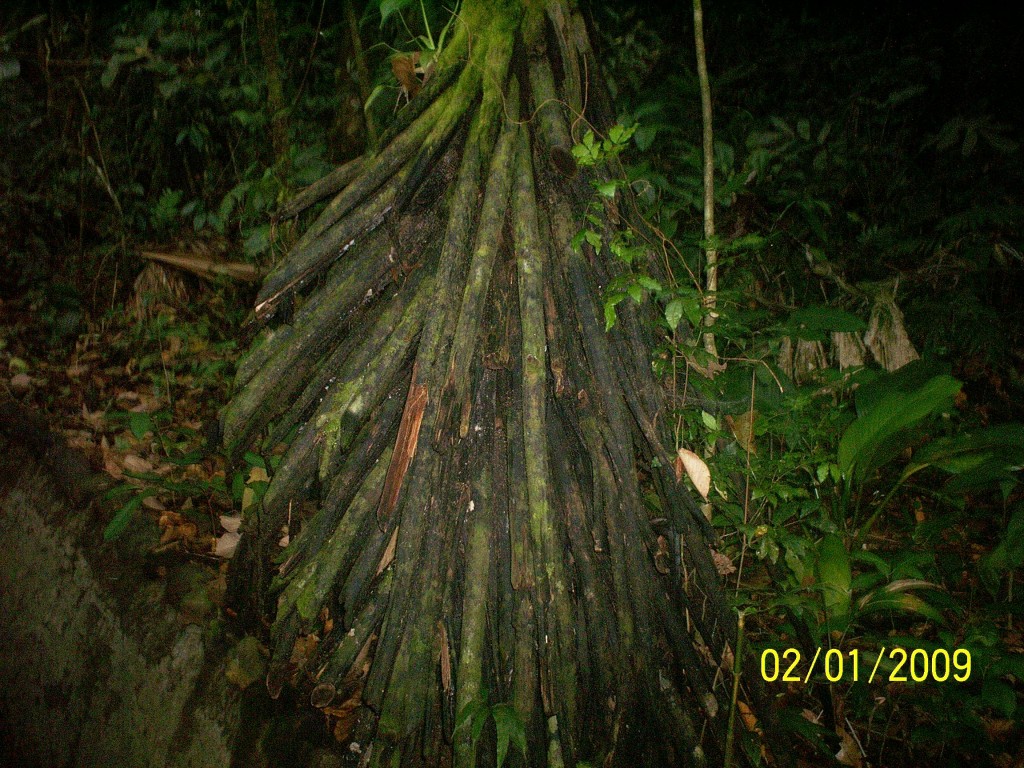 Foto: Aguas Termales, Aguas Zarcas - Aguas Zarcas (Alajuela), Costa Rica