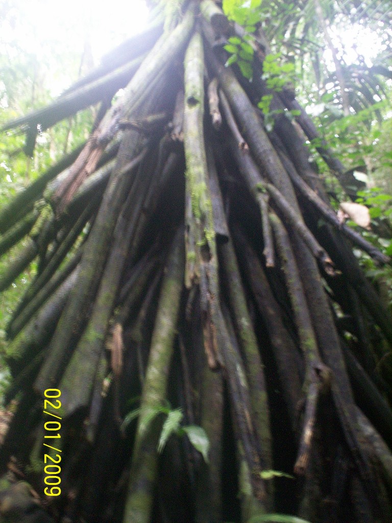 Foto: Aguas Termales, Aguas Zarcas - Aguas Zarcas (Alajuela), Costa Rica