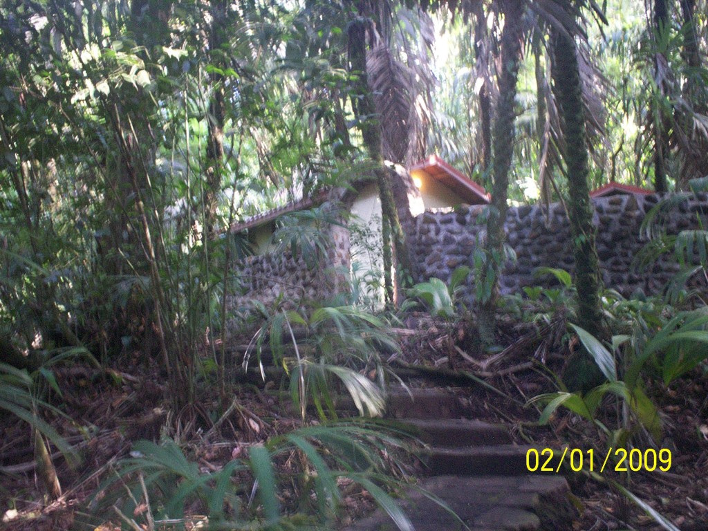 Foto: Aguas Termales, Aguas Zarcas - Aguas Zarcas (Alajuela), Costa Rica