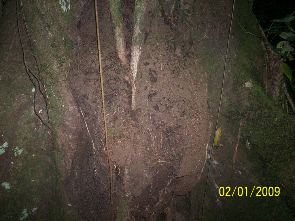 Foto: Aguas Termales, Aguas Zarcas - Aguas Zarcas (Alajuela), Costa Rica