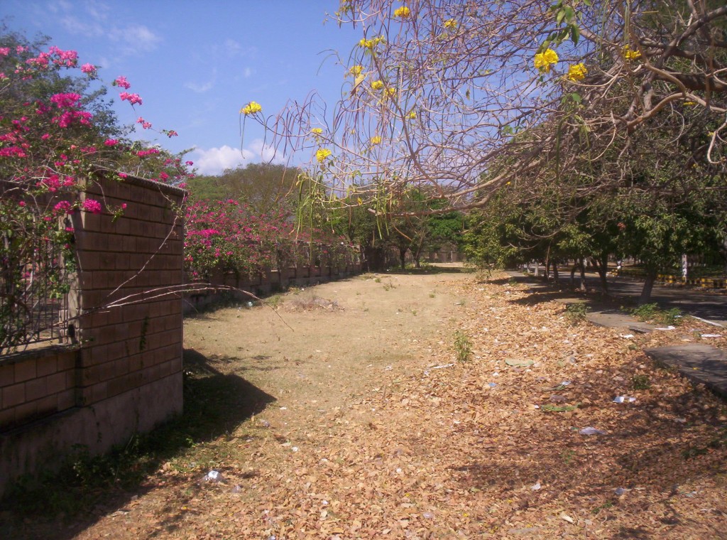 Foto: Valledupar, Colombia - Valledupar, Colombia