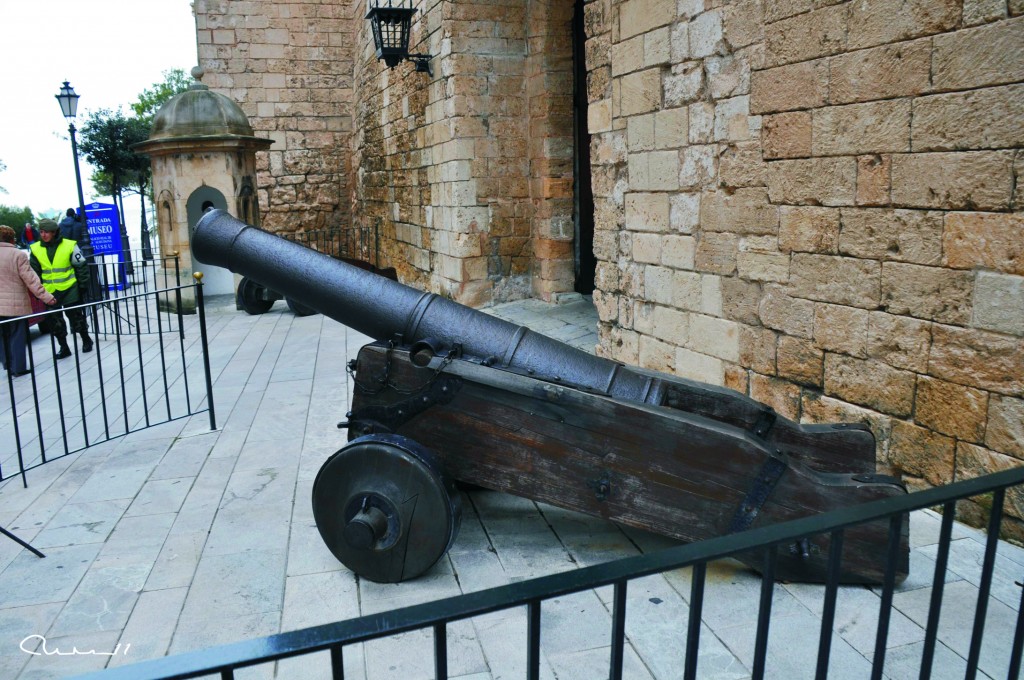 Foto: Cañon - Palma de Mallorca (Illes Balears), España