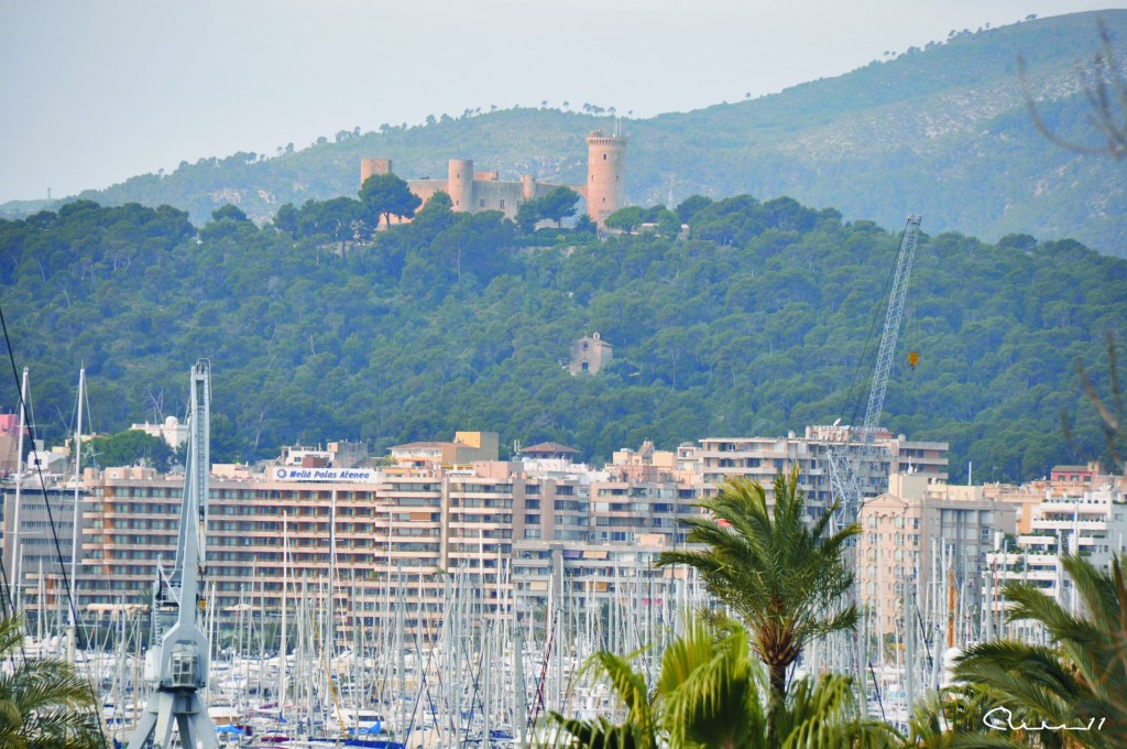 Foto: Vista - Palma de Mallorca (Illes Balears), España