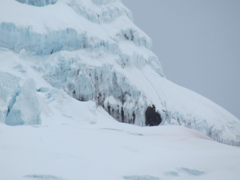 Foto: Glaciar Hermoso - Cayambe (Pichincha), Ecuador