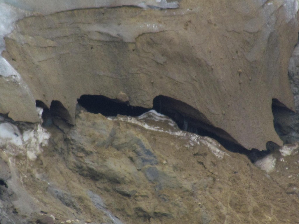 Foto: Glaciar Hermoso - Cayambe (Pichincha), Ecuador