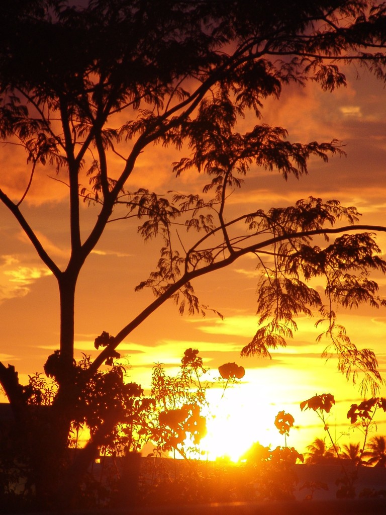 Foto de Tapachula (Chiapas), México