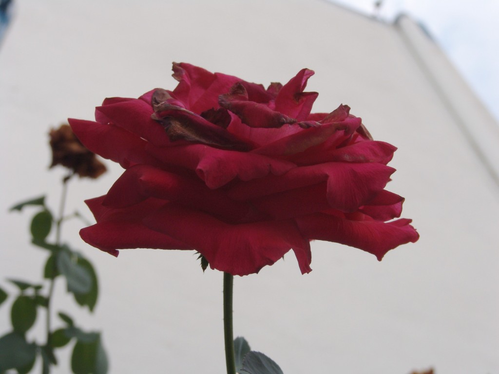 Foto de Tapachula (Chiapas), México