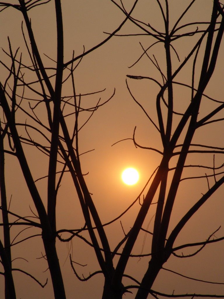 Foto de Tapachula (Chiapas), México