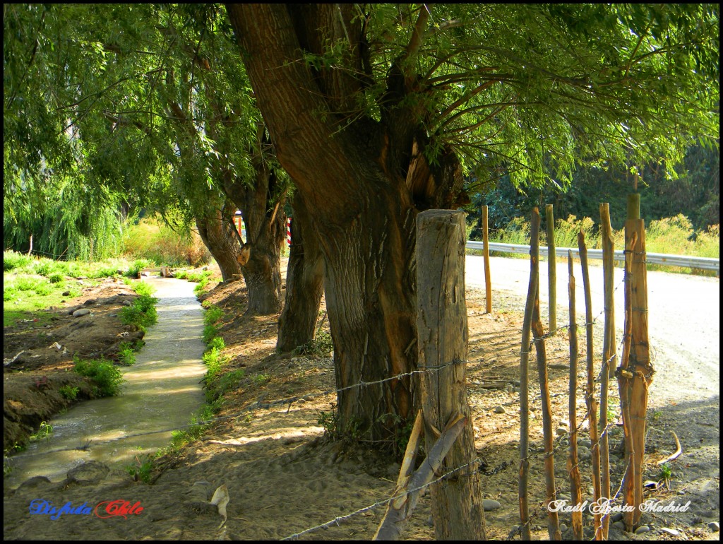 Foto de Lo Miranda (Libertador General Bernardo OʼHiggins), Chile