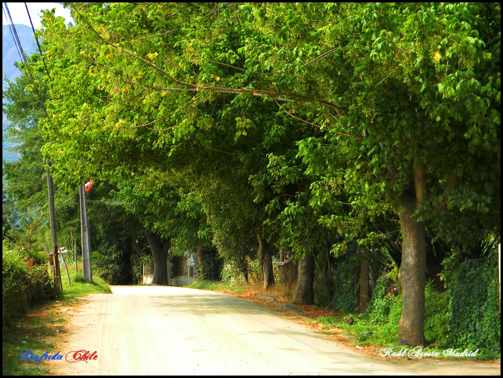 Foto de Lo Miranda (Libertador General Bernardo OʼHiggins), Chile