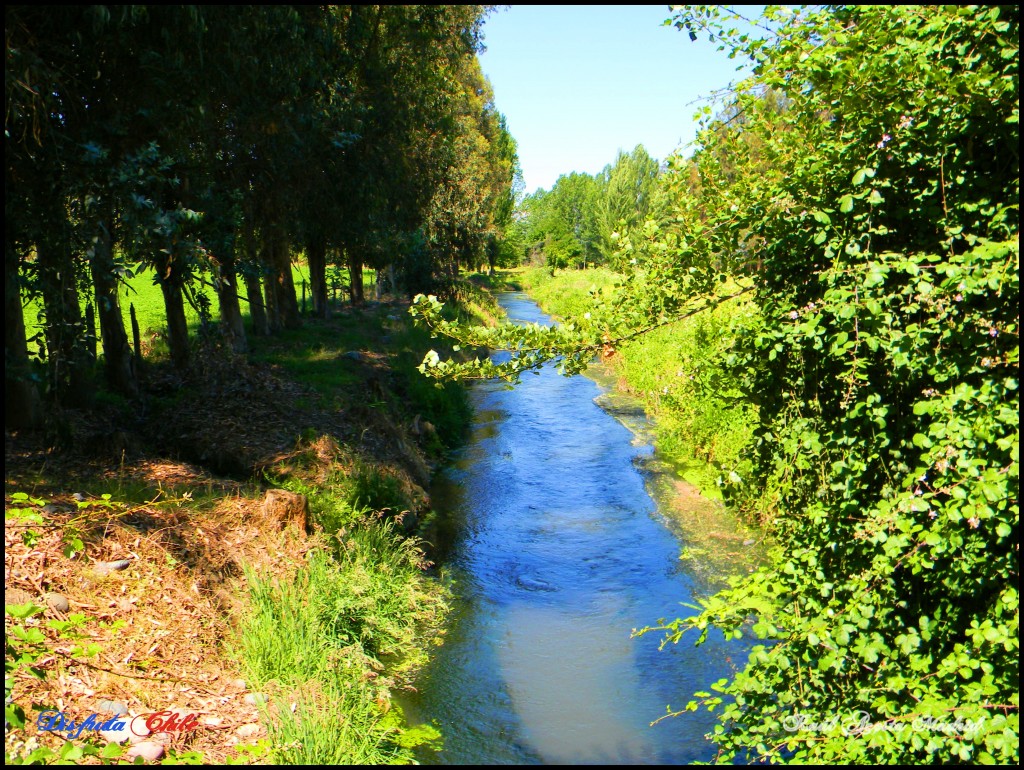 Foto de Lo Miranda (Libertador General Bernardo OʼHiggins), Chile