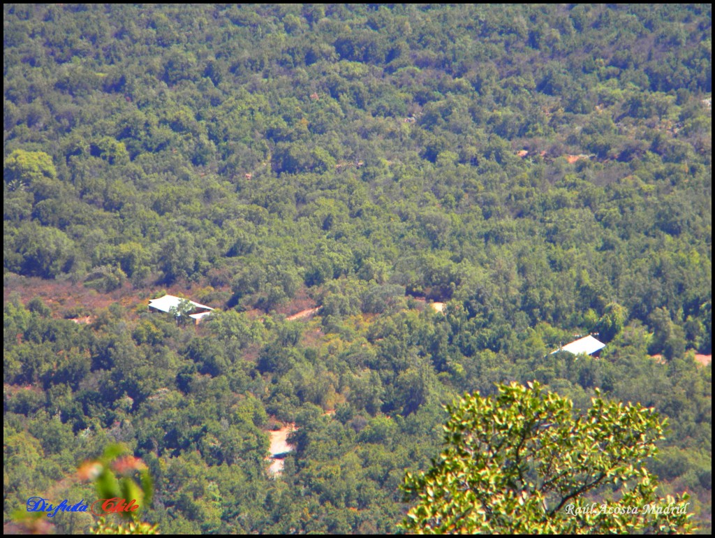 Foto: Faldas del cerro Talamí por Loncha - Alhué (Región Metropolitana), Chile