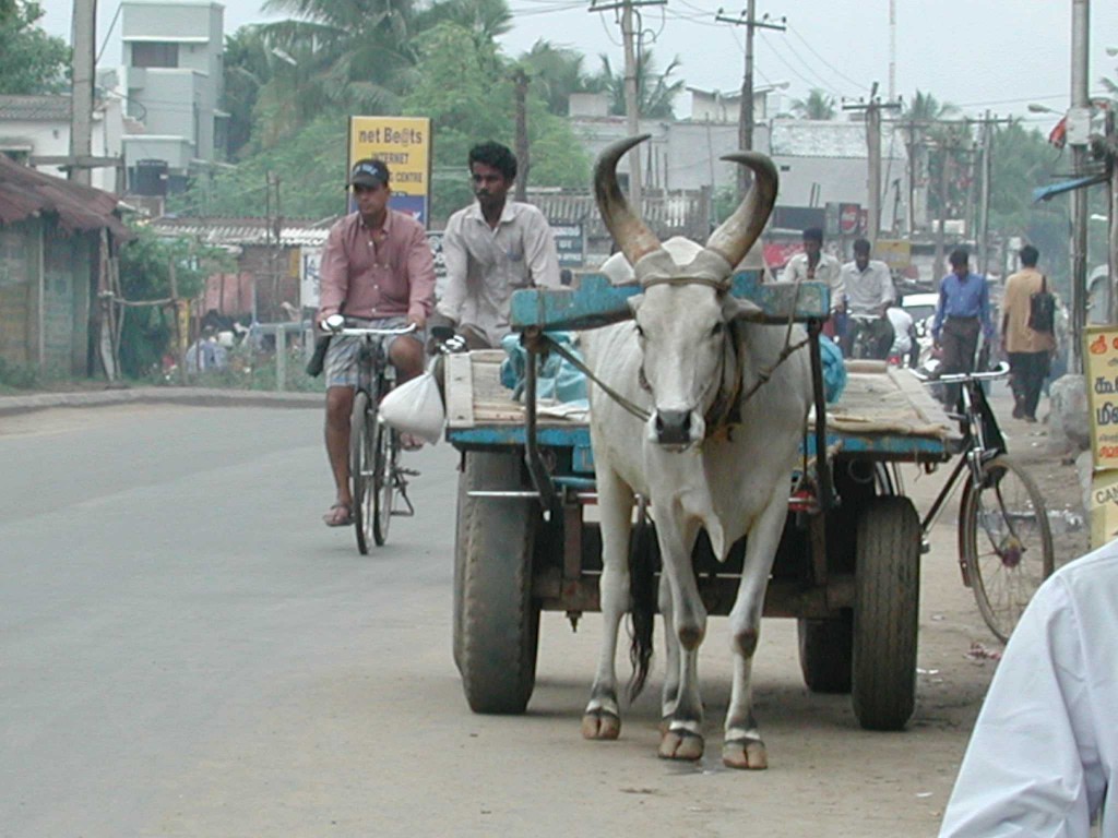 Foto de Chennai (Tamil Nādu), India