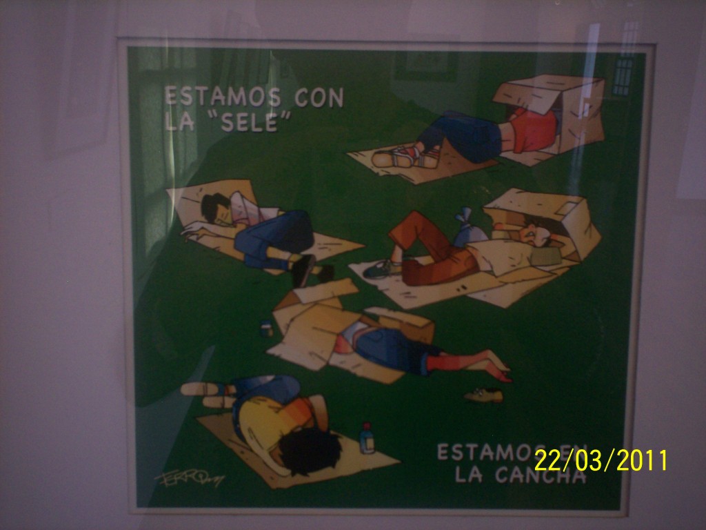 Foto: La Zarigüeya - Alajuela, Costa Rica