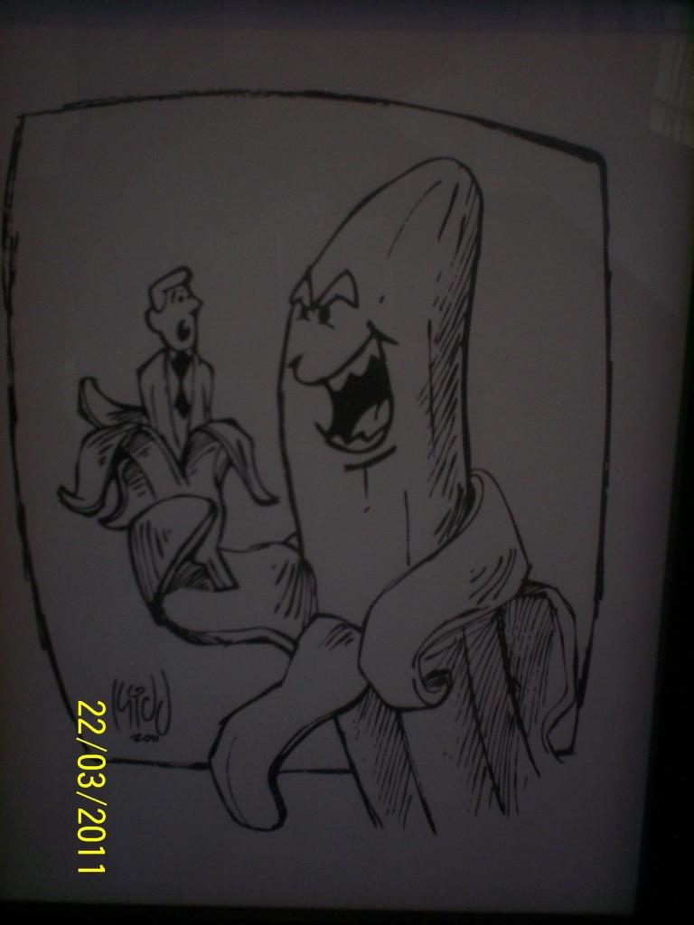 Foto: La Zarigüeya - Alajuela, Costa Rica