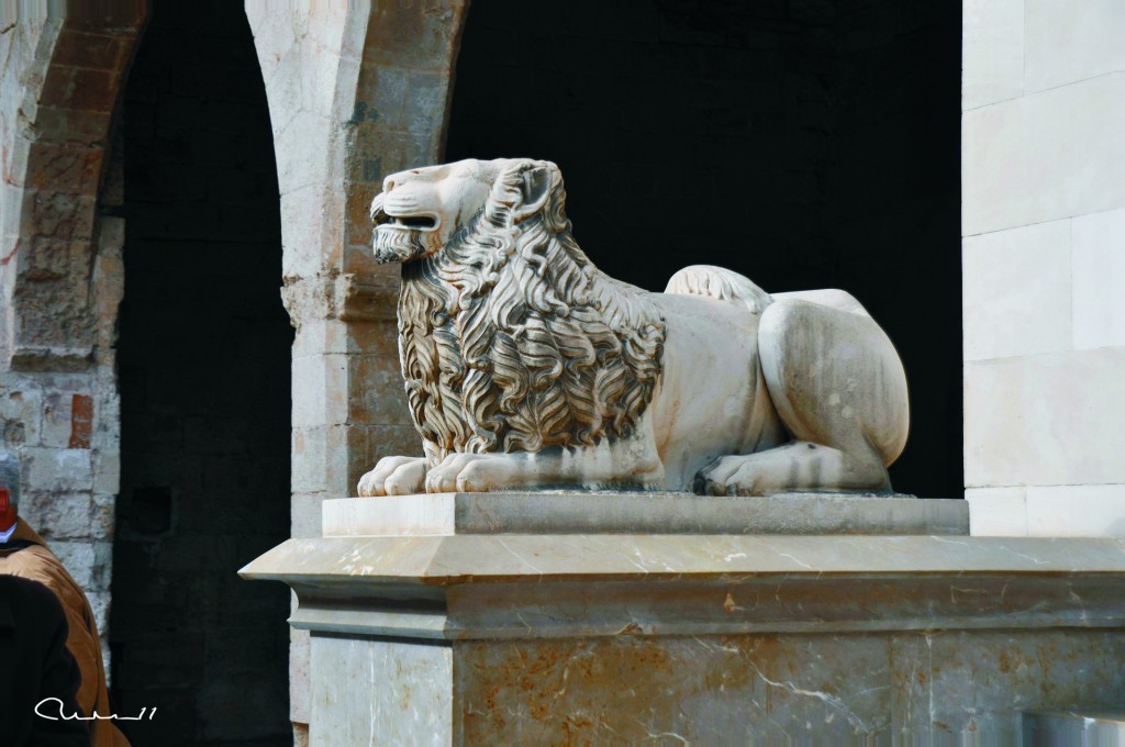 Foto: Leon - Palma de Mallorca (Illes Balears), España