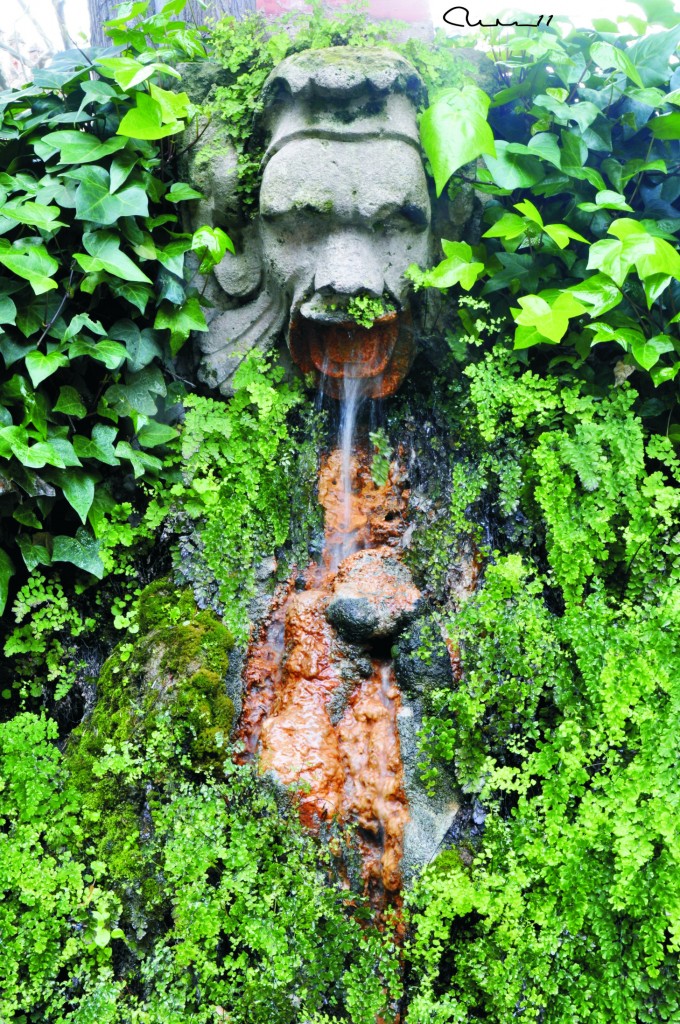 Foto: Carotas - Palma de Mallorca (Illes Balears), España