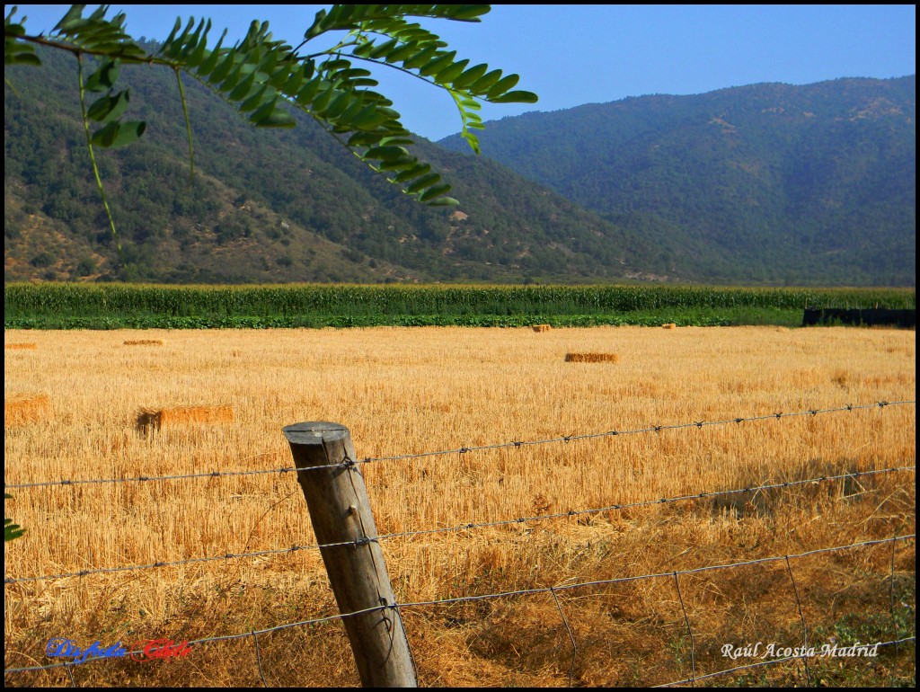 Foto de Alhué (Región Metropolitana), Chile