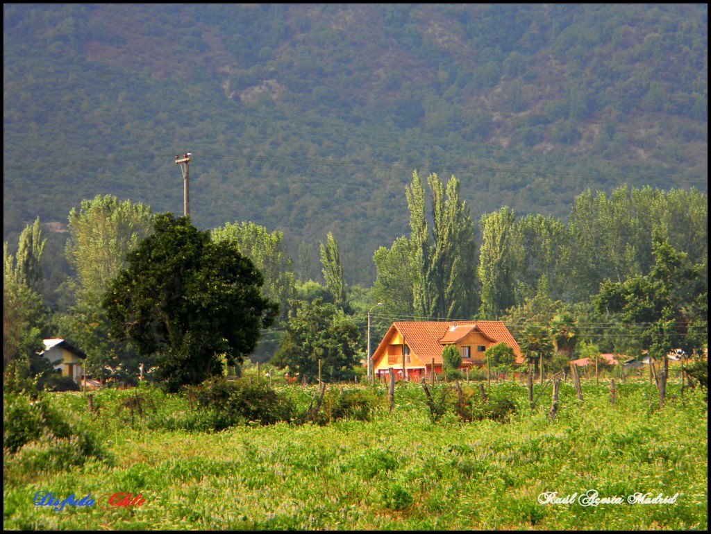 Foto de Lo Miranda (Libertador General Bernardo OʼHiggins), Chile