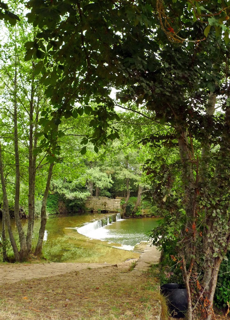 Foto: La presa - Villarcayo (Burgos), España