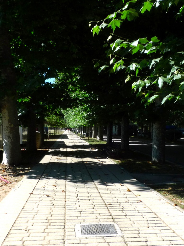 Foto: Alameda - Villarcayo (Burgos), España