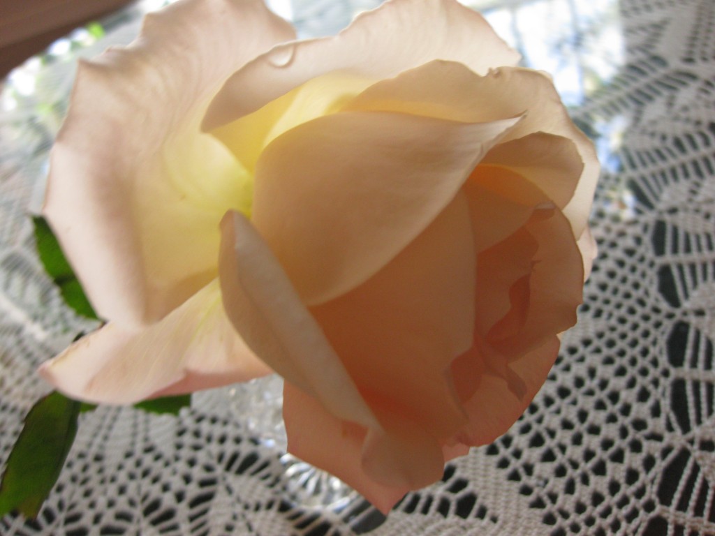 Foto de Almería (Andalucía), España