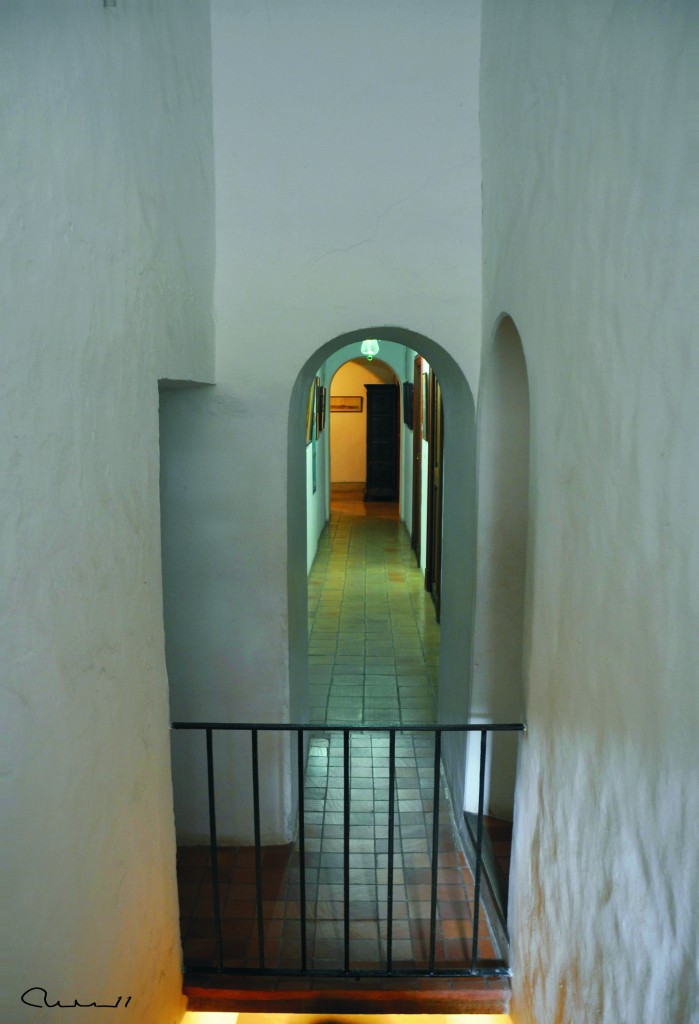 Foto: Son Marroig - Palma de Mallorca (Illes Balears), España