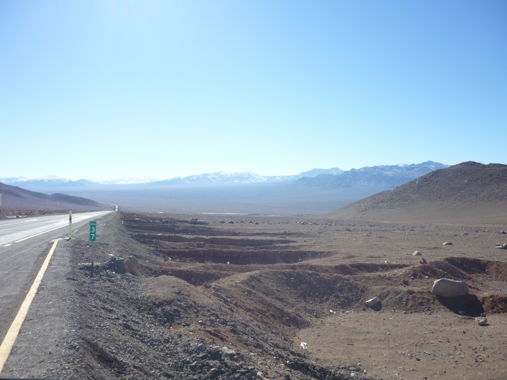 Foto: DESIERTO - Carreras Pinto (Atacama), Chile