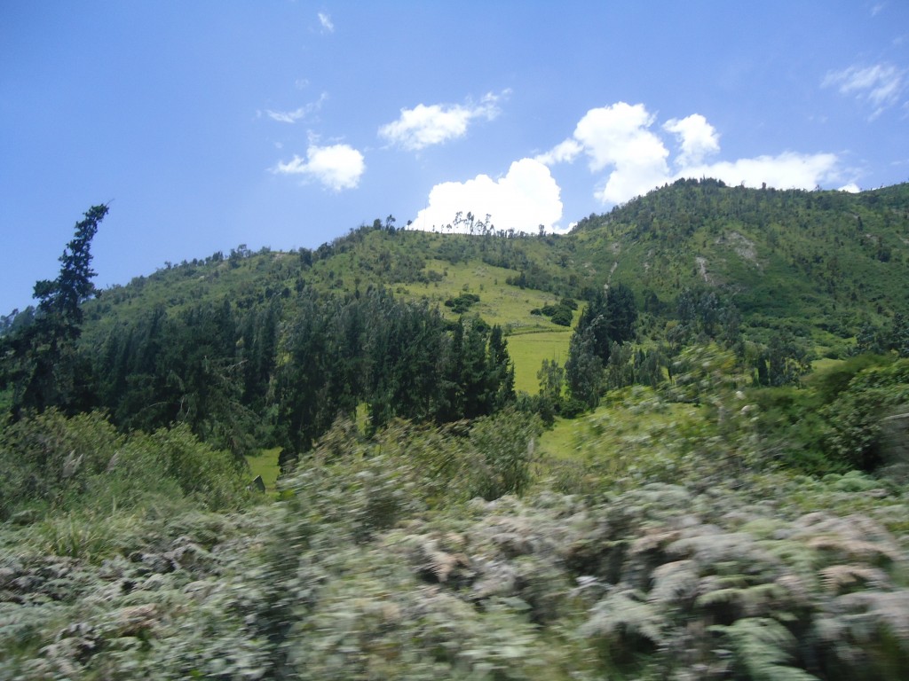 Foto: Rocas al paso de los transeuntes. - Bilbao (Chimborazo), Ecuador