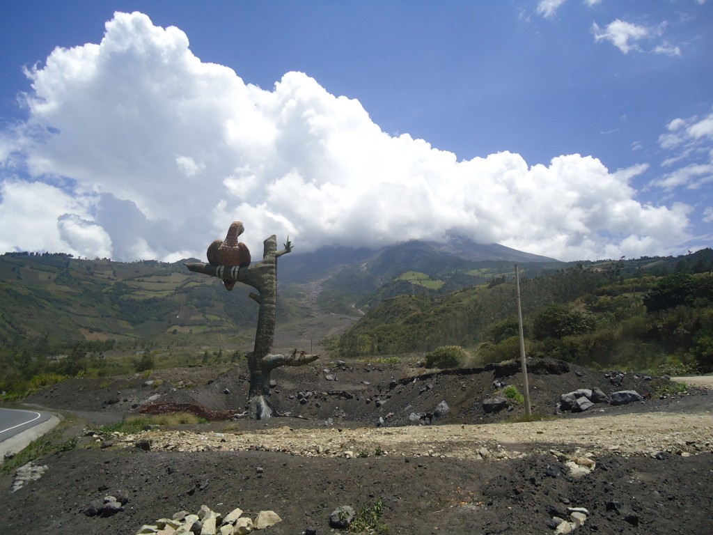 Foto: Los pajaros - Baños (Tungurahua), Ecuador