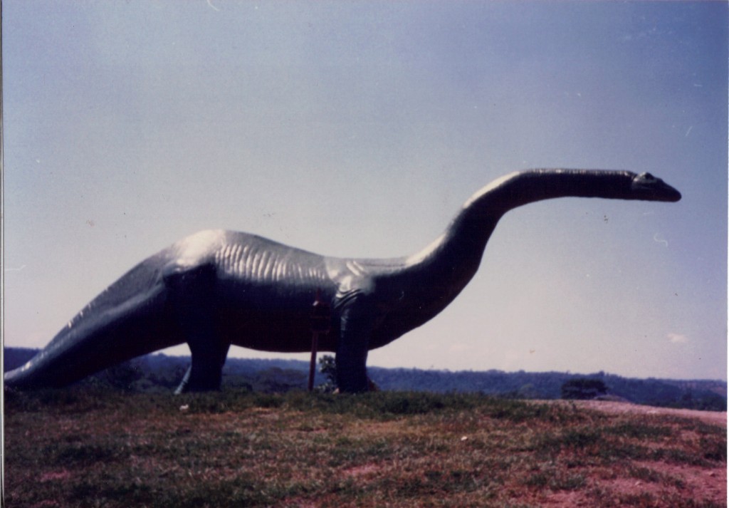 Foto: Dinosaurio - Doradal (Antioquia), Colombia