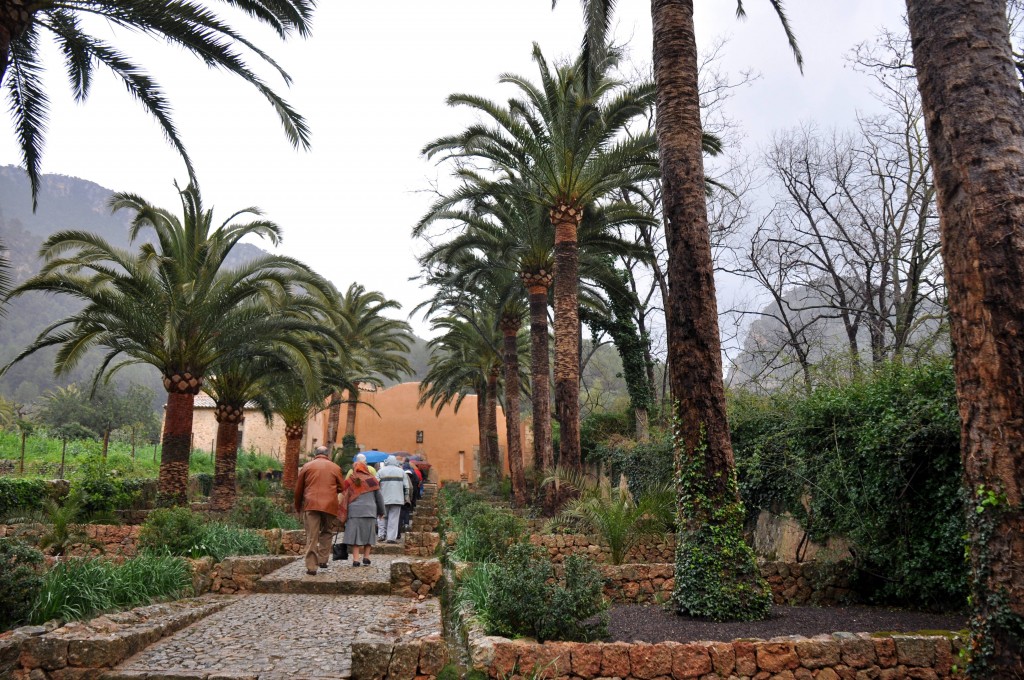 Foto: Alfabia - Bunyola (Illes Balears), España