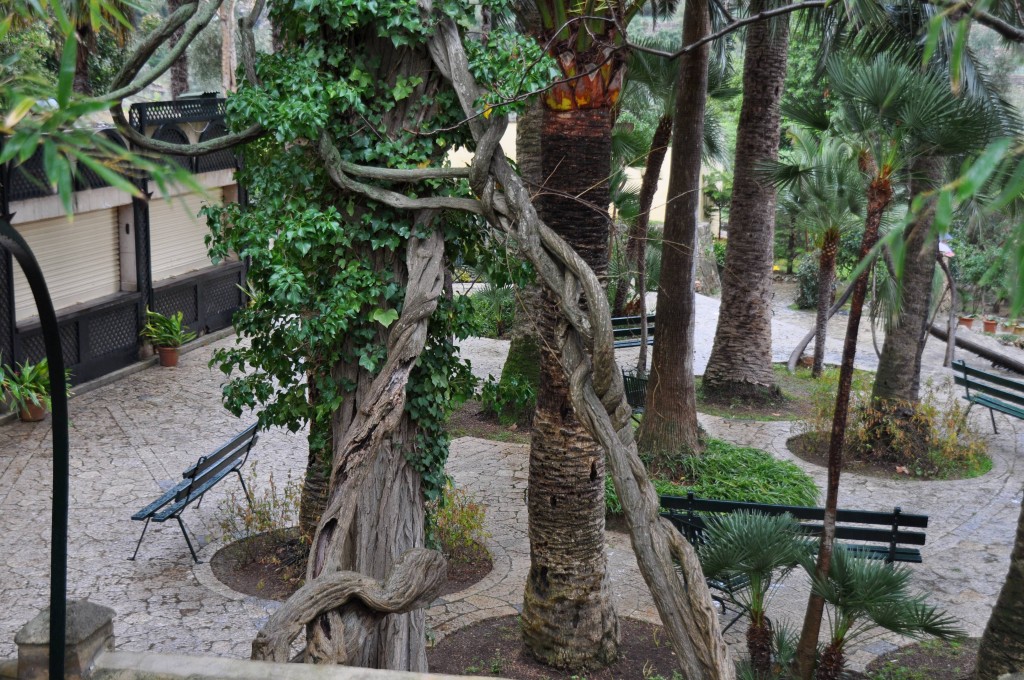 Foto: Jardines - Bunyola (Illes Balears), España