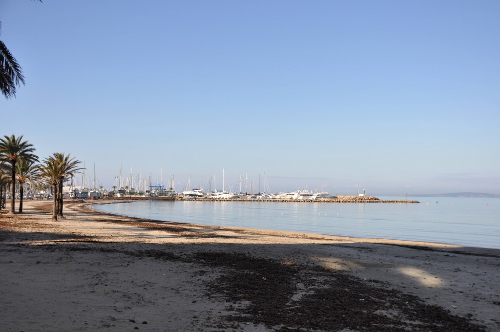 Foto: Vista - El Arenal (Illes Balears), España