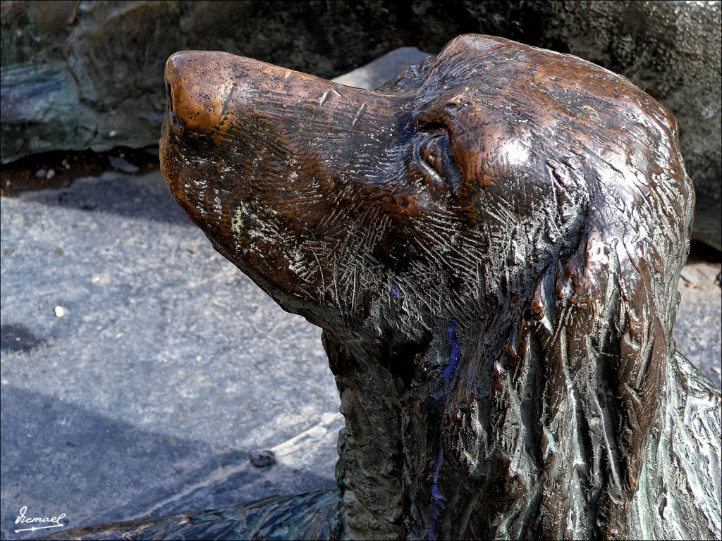 Foto: 110327-33 PARQUE DE LA ESPER - Zaragoza (Aragón), España