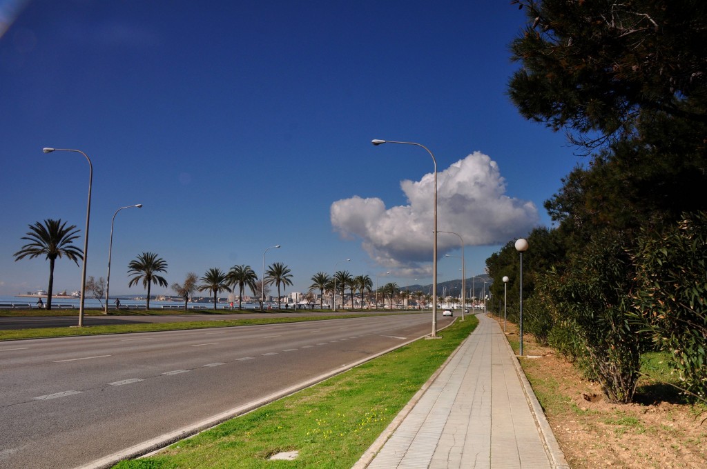 Foto: Vista - Palma de Mallorca (Illes Balears), España
