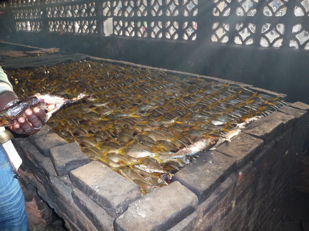 Foto de Tanji, Gambia