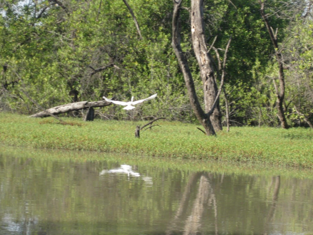 Foto de Tendaba Camp, Gambia