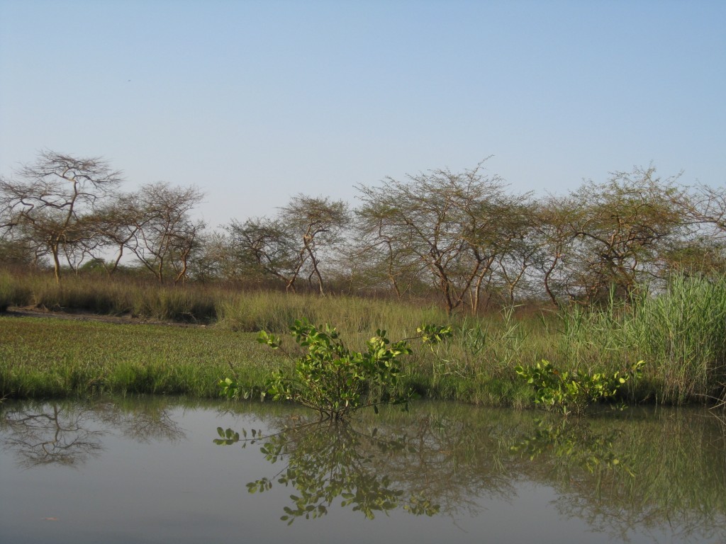 Foto de Tendaba Camp, Gambia