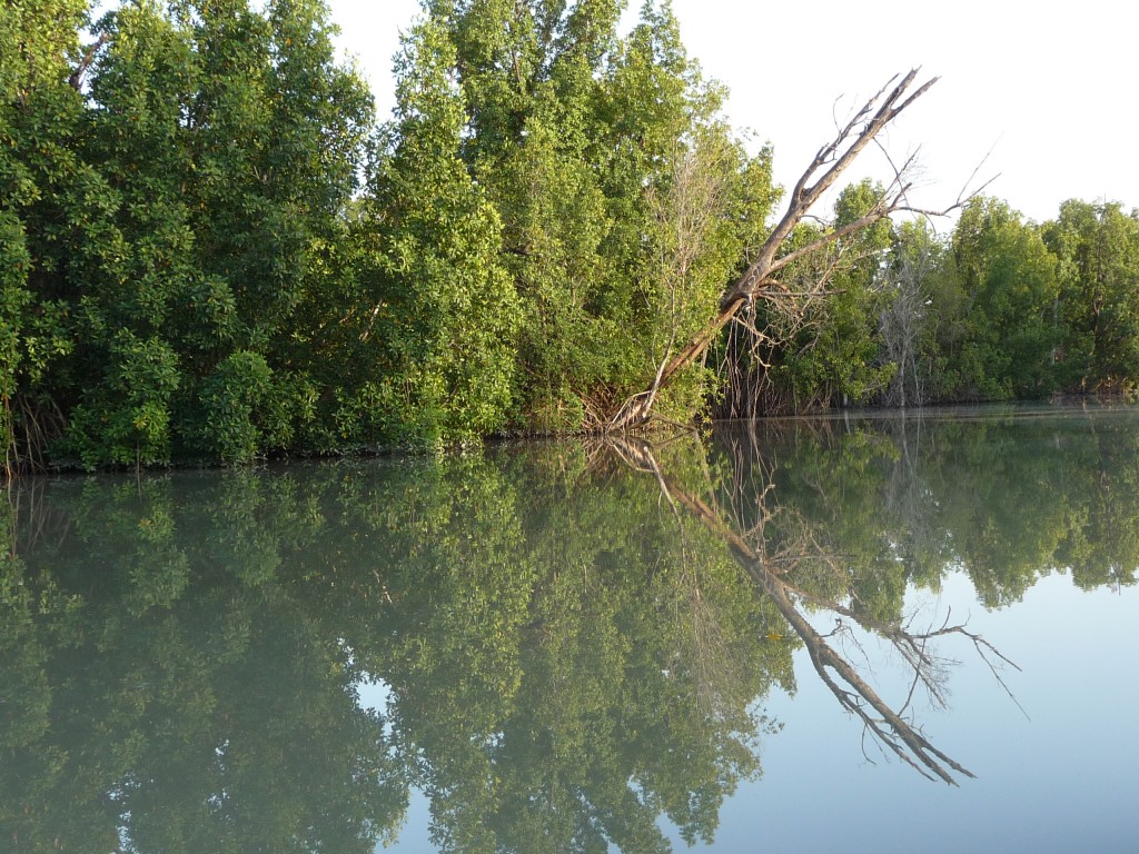 Foto de Tendaba Camp, Gambia