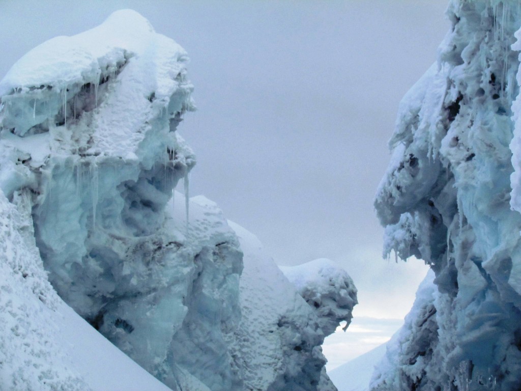 Foto: En el glaciar de Cotopaxi - Cotopaxi, Ecuador