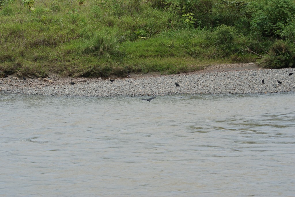 Foto de Condoto (Chocó), Colombia