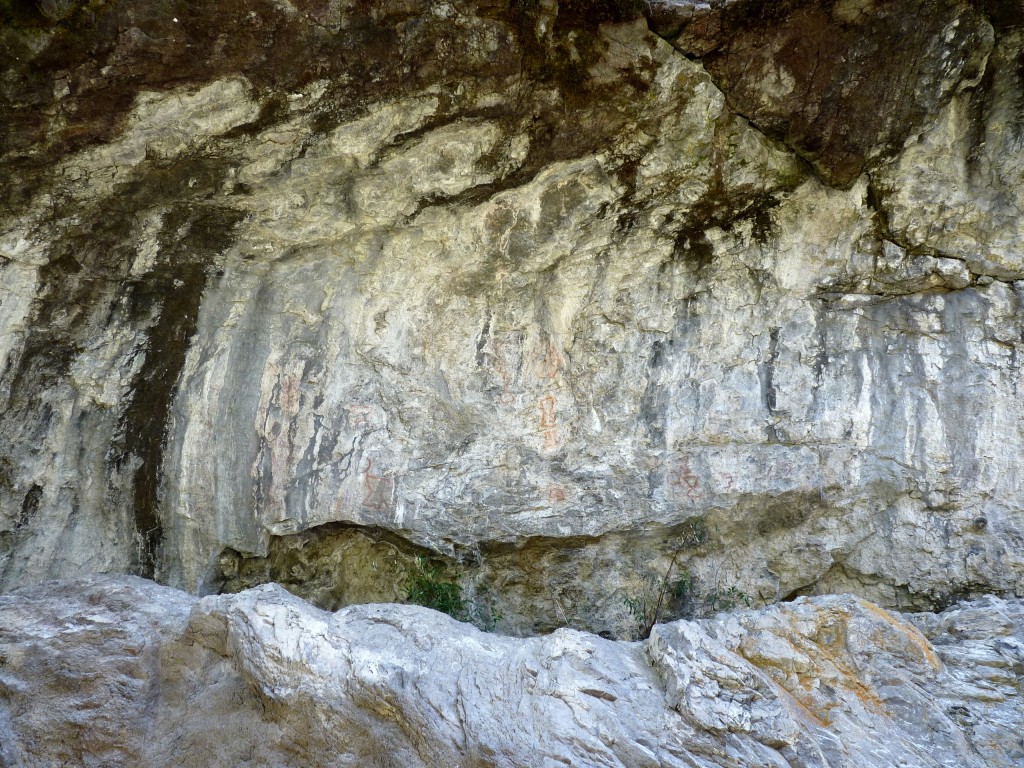 Foto: Parque Nacional Los Alerces - Esquel (Chubut), Argentina