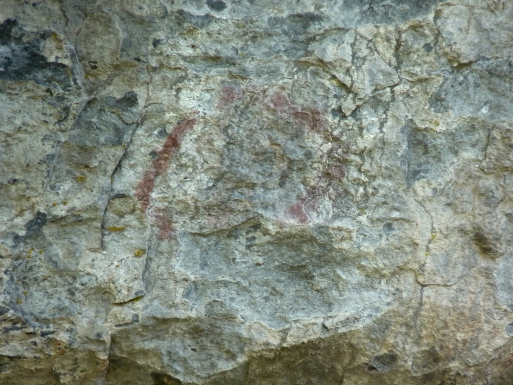 Foto: Parque Nacional Los Alerces - Esquel (Chubut), Argentina