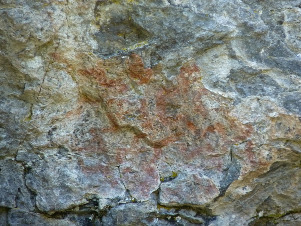 Foto: Parque Nacional Los Alerces - Esquel (Chubut), Argentina