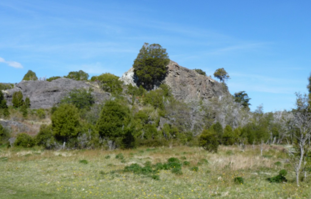 Foto: Parque Nacional Los Alerces - Esquel (Chubut), Argentina