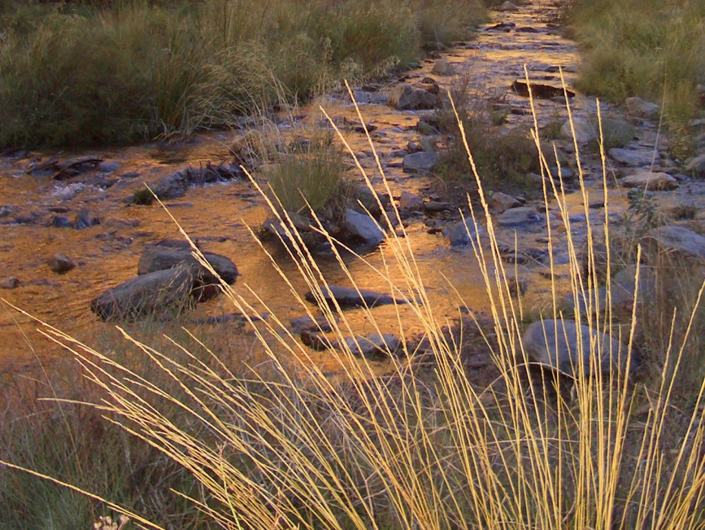 Foto: Río Andarax - Laujar (Almería), España